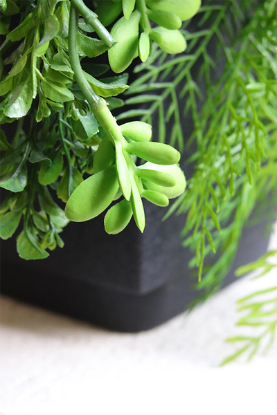 Green Dekorina, kompozycja sukulenty w donicy