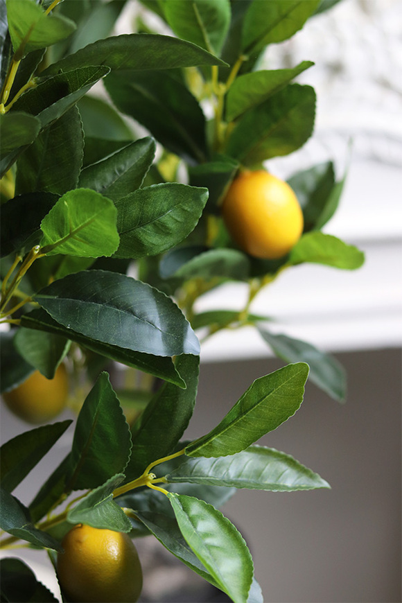 sztuczne drzewko owocowe w donicy, Citronea Porto