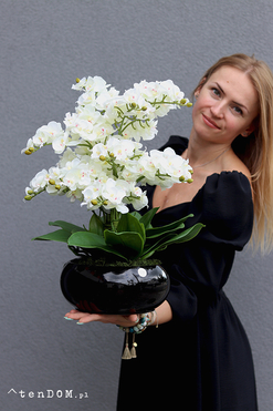 Nagasaki, sztuczny storczyk w czarnej misie, wys.57cm