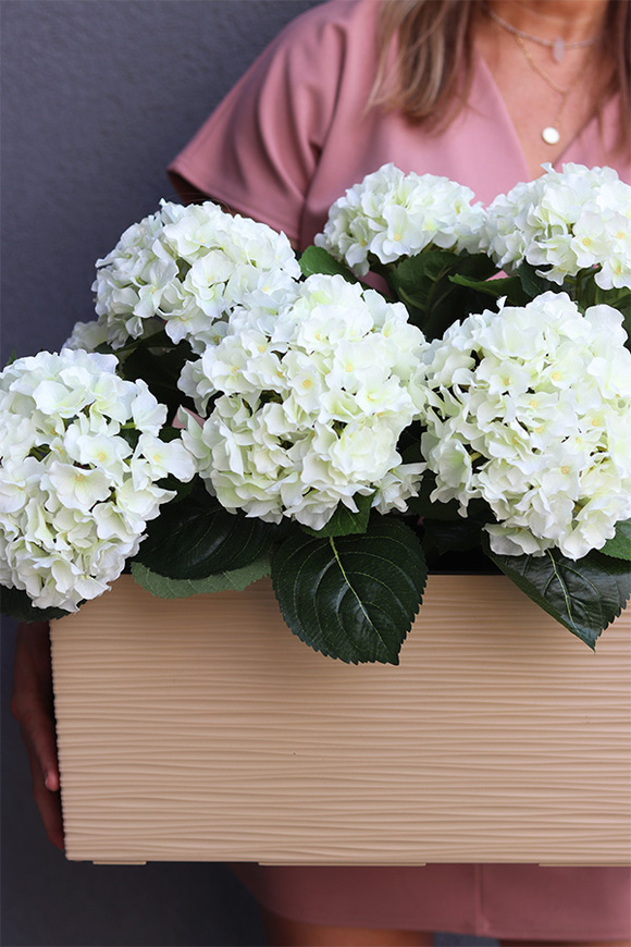 Kolena, sztuczne hortensje na balkon i parapet