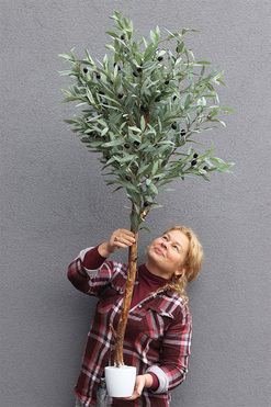 Oliwka New 2, sztuczne drzewko w osłonce, wym.146cm