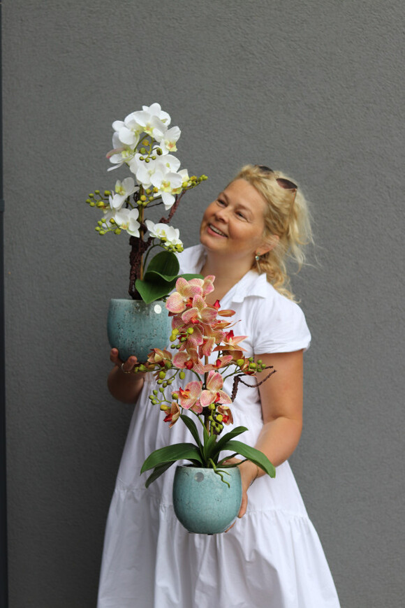 Turkusia, gumowy storczyk w ozdobnej donicy