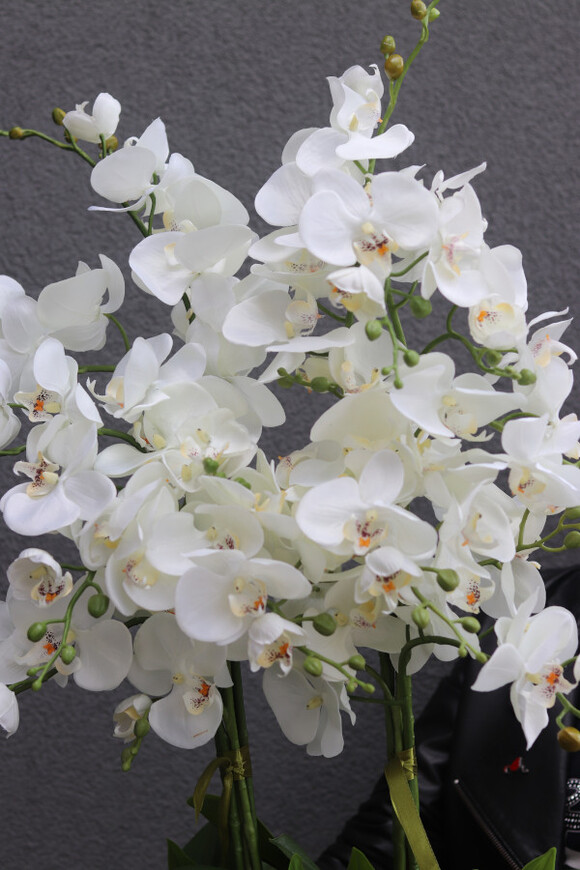 Laos Macadamia, sztuczny storczyk w donicy