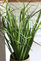 Golden Knot, sztuczna trawa w metalowej donicy