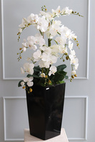 Mediolan Black New, storczyk podłogowy w czarnej donicy, wys.120cm