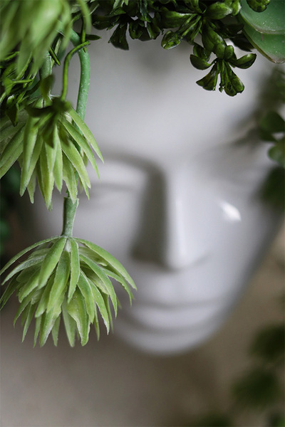 efektowna kompozycja sukulenty w głowie, Big Crazy Head, wys.37cm