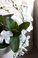 Japandi Orchid Subtelle, sztuczny storczyk w ceramicznym pucharze