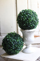 Neros 2, kula bukszpanowa w białym pucharze, wys.40cm