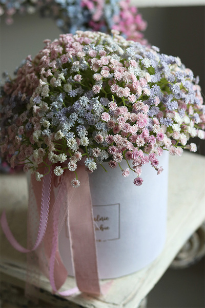 Kaszka Pastelowa 2, flowerbox kwiatowy welurowy, gipsówka