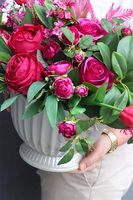 Velvet Malina Gaina, kompozycja kwiatowa z proteą