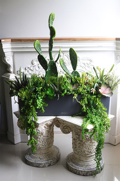 Opuncja Blaconera Cacti, sukulenty z kaktusem w szarej donicy, wym. 82x96cm