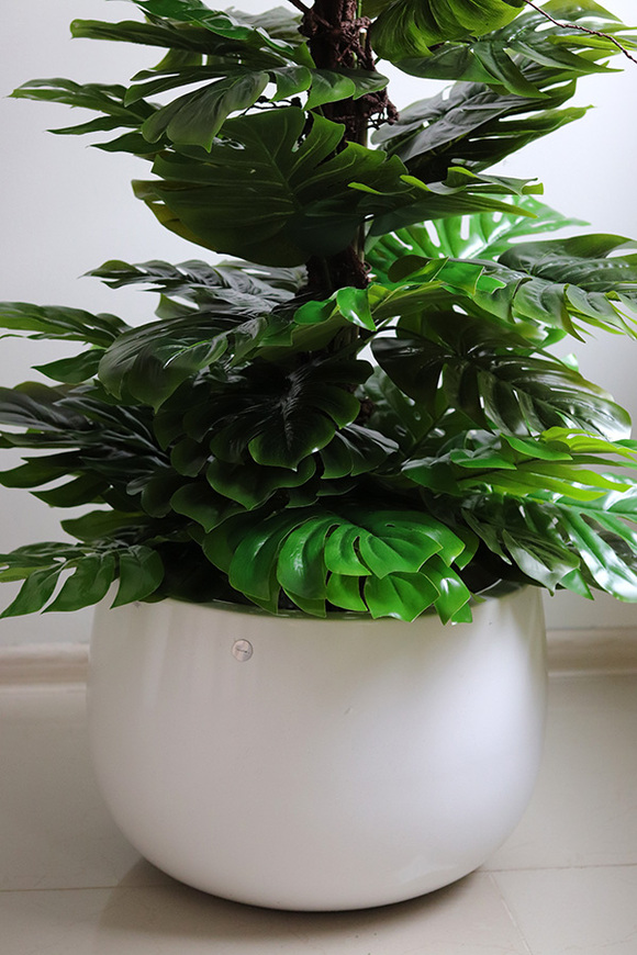 Monstera Walter, drzewko sztuczne w donicy fiberglass