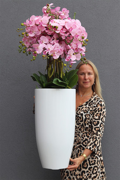 Fiberglass Grande Pudrovy 2, storczyk w białej donicy, wys.132cm