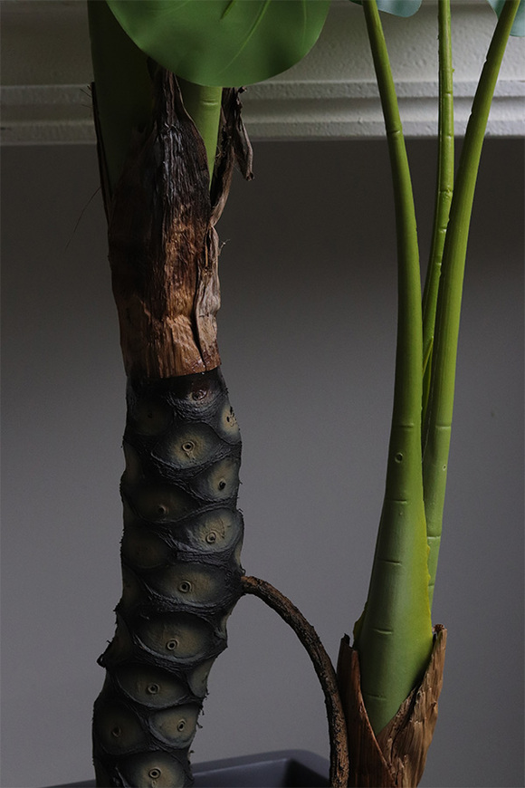 Filodendron Concrete, sztuczna roślina w doniczce