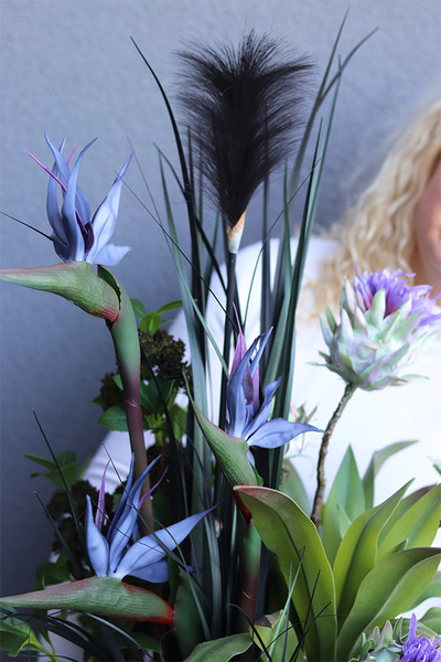 Strelicja Freemont, kompozycja w srebrnej donicy