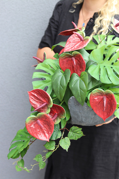 Anturium Volcan Bordo, nowoczesna kompozycja nagrobna