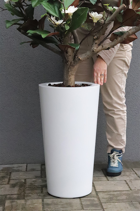sztuczne drzewko Magnolia Fiberglass w donicy