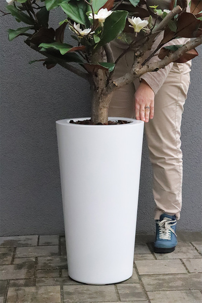 sztuczne drzewko Magnolia Fiberglass w donicy