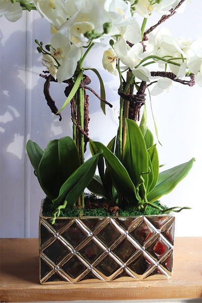 Diamondo Gold 4, storczyk w złotej donicy wysadzanej kryształami