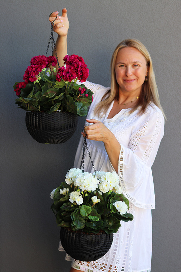 Pelargonia White, kompozycja pelargonie w wiszącej donicy