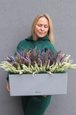 Lechuza Wrzosy 4, kompozycja kwiatowa w wysokiej jakości donicy - skrzynce, wym.60x40x40cm 