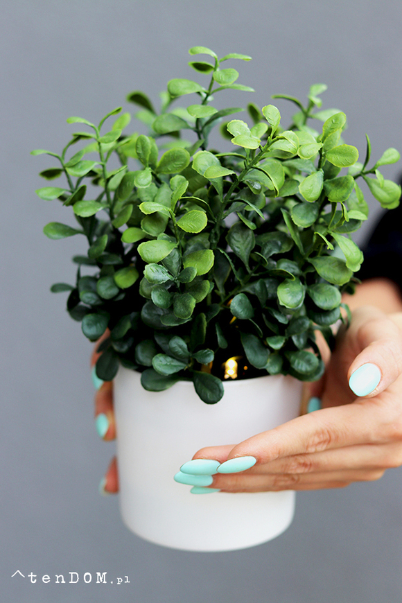 Greento Bukszpan, sztuczna roślina w doniczce