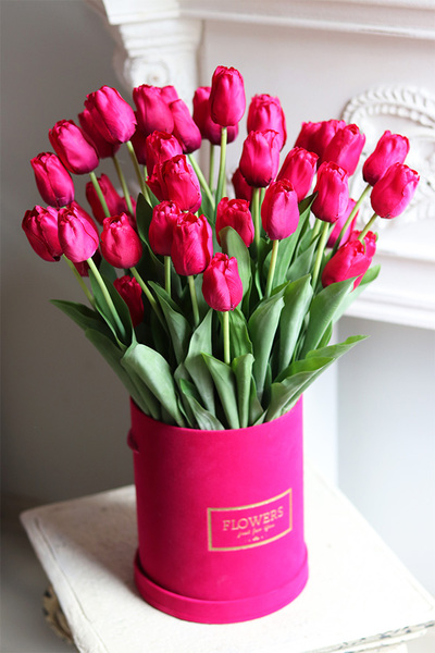 Pink Tulips, amarantowy flowerbox z tulipanami