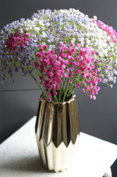 Złoty Design, bukiet gipsówki w wazonie