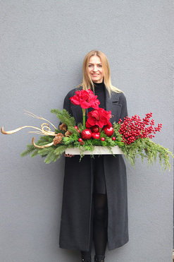 Amarylis Longia, kompozycja kwiatowa w naczyniu, dł.100cm