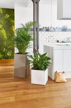 Canto Premium, doniczka z nawadnianiem, biała, wym.40x40cm