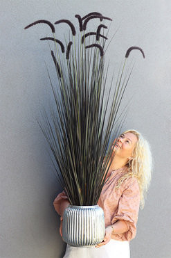 Black Lion, sztuczna czarna trawa w srebrnej donicy, wys.146cm