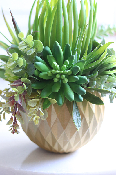 efektowna kompozycja sukulenty, Ferinato Gold C, wys.27cm