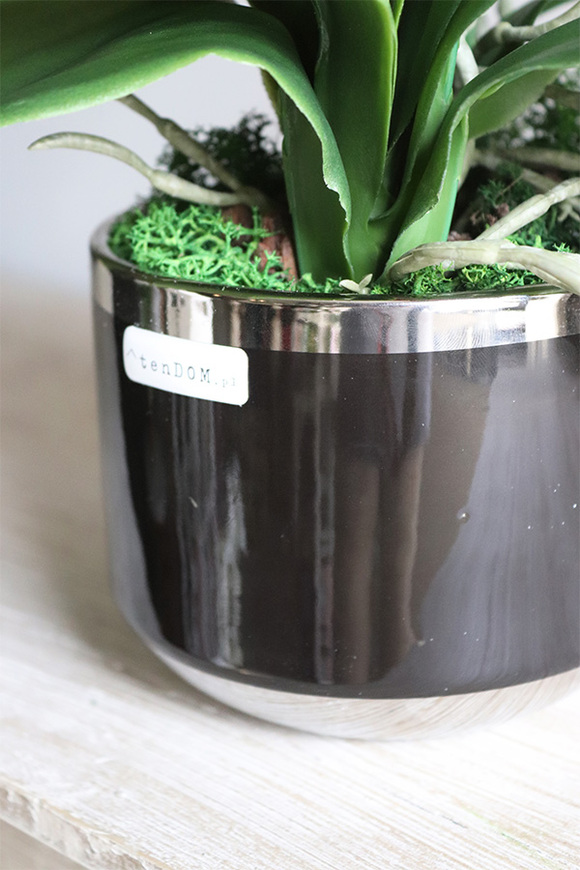 Delicja Karminosa, sztuczny storczyk w czarnej donicy, wys.60cm 