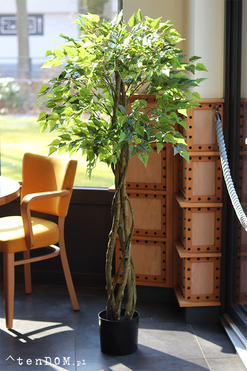 Brzoza, sztuczna roślina w doniczce, wys.165cm