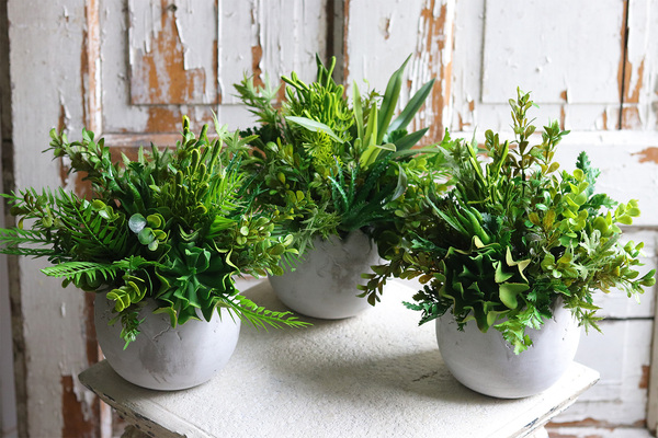 Minimalism, kompozycja sukulenty w betonowej donicy