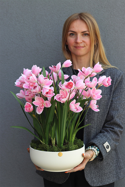 Cymbydium Rosa, sztuczny o różowych kwiatostanach