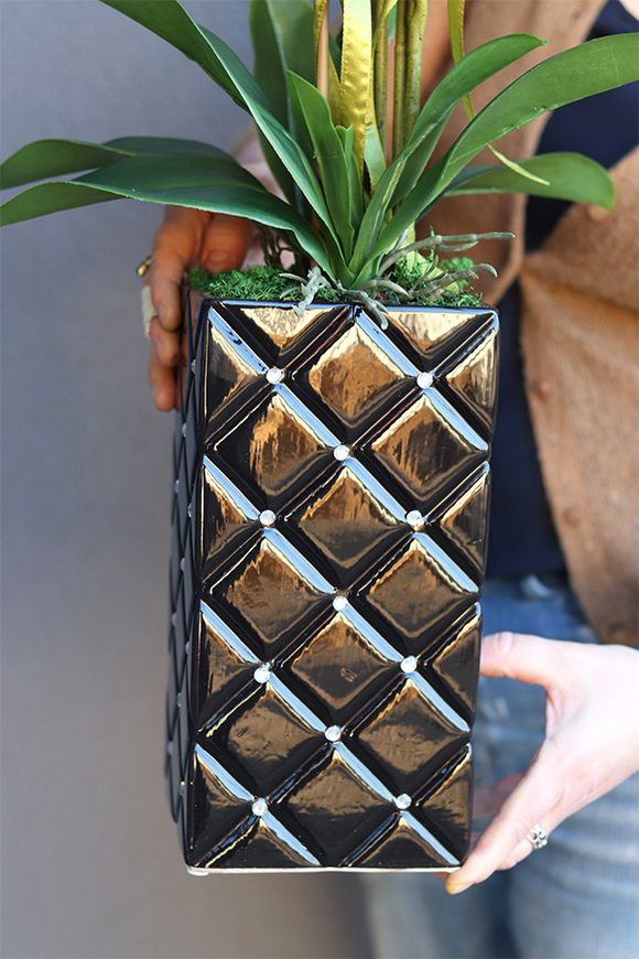 Black Orchid Diamonds, czarny storczyk glamour