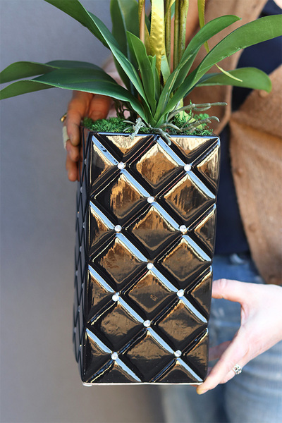 Black Orchid Diamonds, czarny storczyk glamour