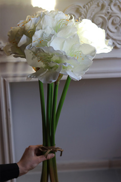 Amarylis Biały, bukiet kwiatów, 5szt, dł.76cm