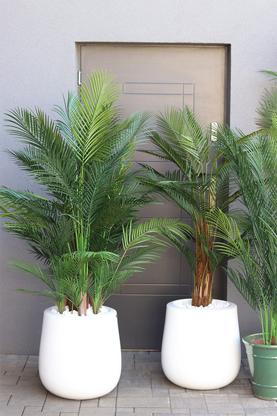 palma Greentia Fiberglass White, sztuczna palma w lśniącej donicy