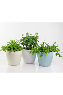 Barcelli, osłonka ceramiczna doniczka, szary, wym.14x15cm