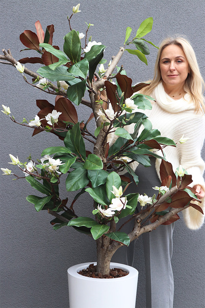 sztuczne drzewko Magnolia Fiberglass w donicy