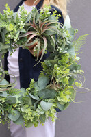 Amazonia, lekki zielony wianek