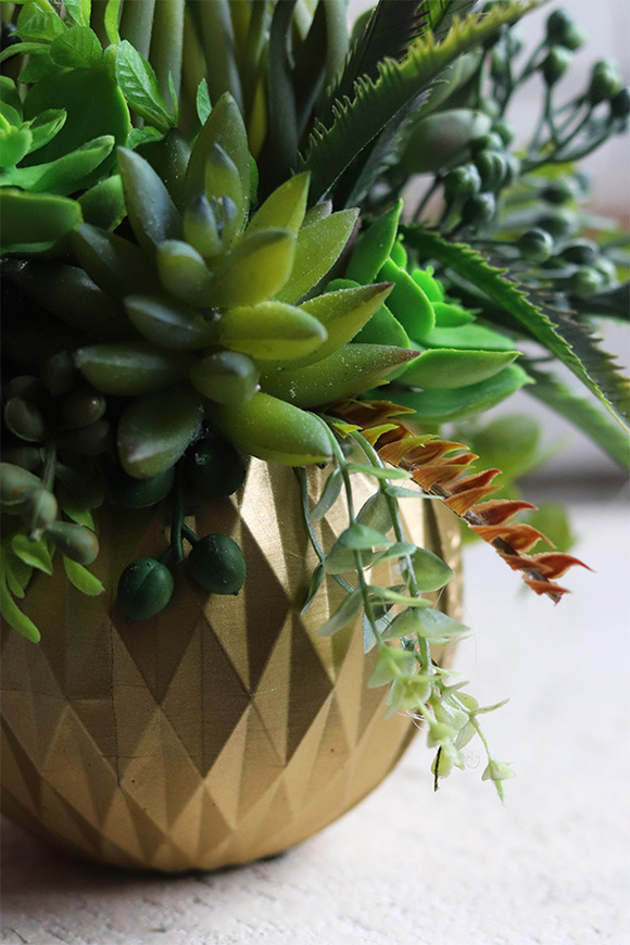 efektowna kompozycja sukulenty, Ferinato Gold C, wys.27cm 