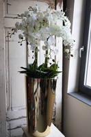 Golderia Side, elegancki storczyk podłogowy w złotej donicy, wys.130cm  