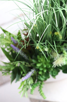 Laos Nrefrio, kompozycja trawy & sukulenty w białej donicy, wys.70cm