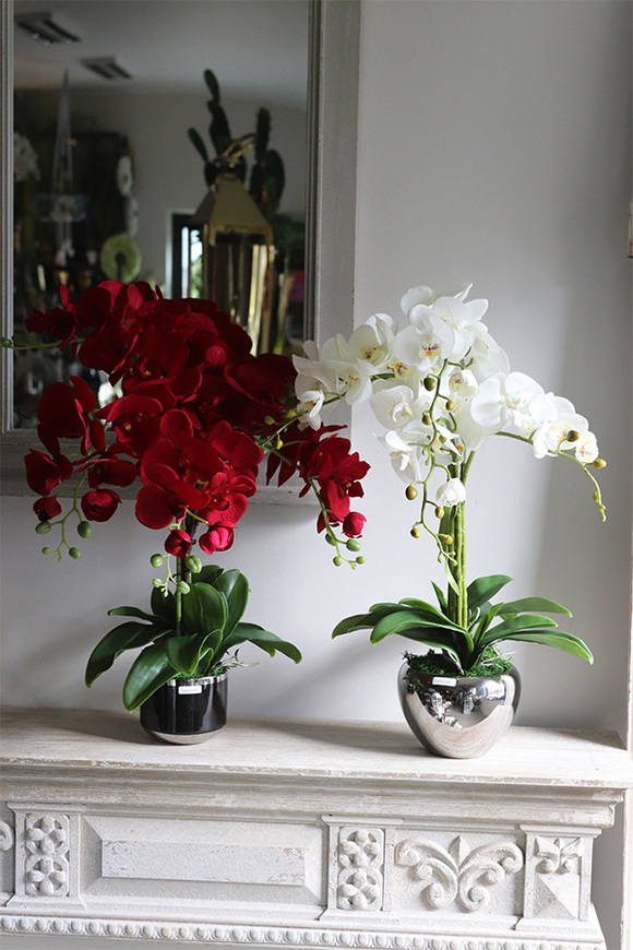 Delicja Karminosa, sztuczny storczyk w czarnej donicy, wys.60cm 