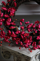 wianek, Jabłonka Magenta