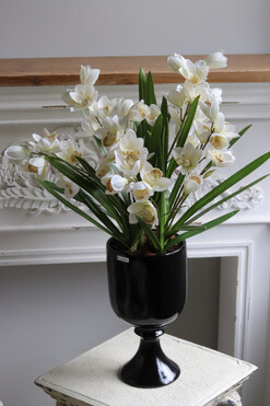 OD RĘKI Bacarat Black Cymbydium, gumowy storczyk w pucharze, wys.63cm