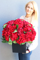 hortensje w czarnym wkładzie, Red Hydrangea, wym.58x50cm 